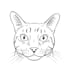 turn your pet into line art