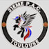 do high quality embroidery digitizing in few hours