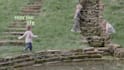 do 3d tracking, rotoscoping and keying your video