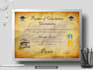 do professional certificate design, diploma certificate, award certificate