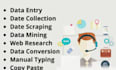 data entry web search and pdf conversion