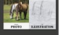 create an illustration from photos