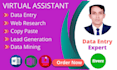do data entry, web research and lead generation expert