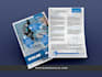 manage all your graphic design processes