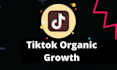 organically grow your tiktok page super fast