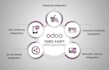 integrate odoo erp with any third party apis