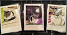 make your photos into physical, watercolor polaroids