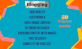write your SEO optimized blog posts and bulk articles