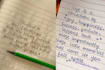 write your text in beautiful hand written cursive writing