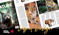 do professional flyers, posters and banners for your business