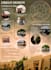 design creative architectural sheets, boards and posters