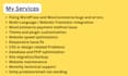 fix wordpress woocommerce website issues bugs errors elementor pro instant