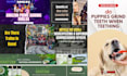 design stunning 25 blog post featured images