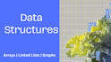 tutor analysis of algorithm, data structure, and programming fundamentals