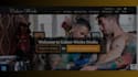 create tattoo studio website with booking feature, tattoo, piercing website