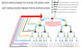make peer to peer donation website with free domain, hosting