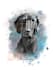 draw pet into watercolor portrait
