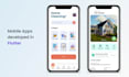 develop flutter and flutterflow apps