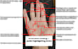 give you a psychic palm reading within 24h