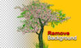 provide background removal, image retouch, cut out images service