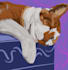paint your pet with a digital oil technique