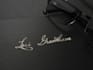 design Hand Written Signature Logo
