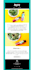 develop responsive HTML email signature, template, newsletter and invoice