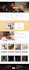 design or redesign wix website for  ecommerce sites