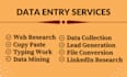do fast and accurate data entry, PDF to excel and web research