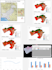 provide landuse landcover classification with high accuracy