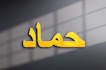 enhance, upgrade and modify your logo professionally