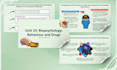 create powerpoint design,ppt slides canva presentations for education,school
