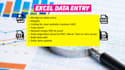 do excel data entry