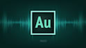 do professional edit audio files within 24 hrs