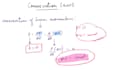 make video any physics maths topic professionally