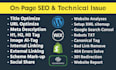 do best on page SEO optimization for website ranking with technical error
