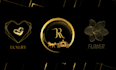 create elegant, gold, and luxury logo