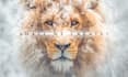 create and edit high resolution ai images and designs