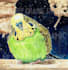 create a watercolor pet portrait