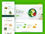 build and redesign professional wordpress websites and stores