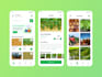 do mobile app ui ux design, app ui design, mobile app ui design in figma