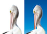 do image background removing