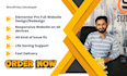 be your elementor pro expert for full website and fix errors