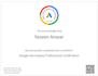 setup display ad campaign by google certified professional