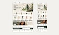 build website, website development, full stack developer, front end developer
