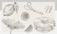 create sketch illustration fully hand drawn