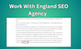 build backlinks on saas websites, niche edit, link insertion