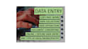 provide you pp presentation slides and data entry tasks