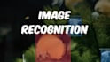 custom object detection model training and deployment expert