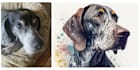 create a watercolor portrait of your pet using ai